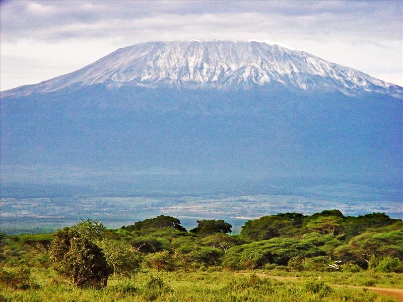 Mt Kilimanjaro 1